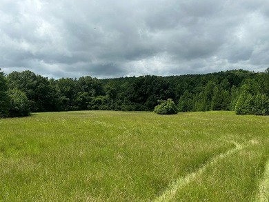 Embrace a rare opportunity to own a multi-generational farm in - photo 4