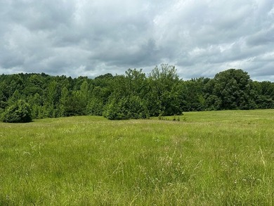 Embrace a rare opportunity to own a multi-generational farm in - photo 5