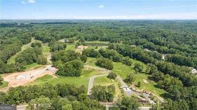 This inspiring 7.10-acre interior estate lot sits within an - photo 12