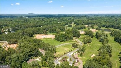 This inspiring 7.10-acre interior estate lot sits within an - photo 13