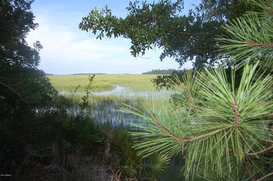 Looking to build a home that has beautiful views? This home-site - photo 3