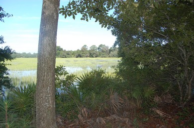 Looking to build a home that has beautiful views? This home-site - photo 7