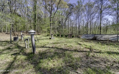 Located just outside of Port Gibson, this 44.16+/- surveyed acre - photo 27