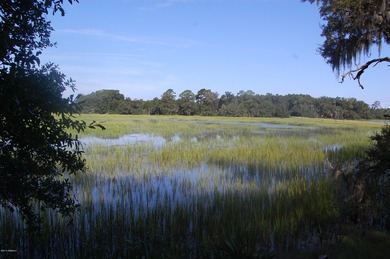 Looking to build a home that has beautiful views? This home-site - photo 8