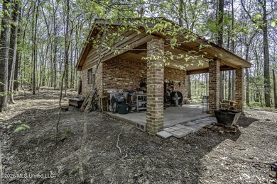 Located just outside of Port Gibson, this 44.16+/- surveyed acre - photo 47