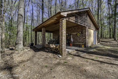 Located just outside of Port Gibson, this 44.16+/- surveyed acre - photo 49