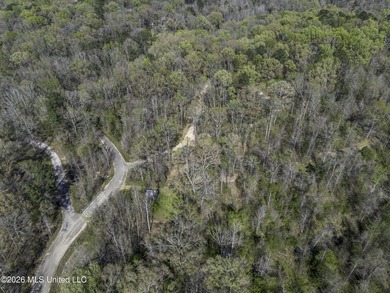 Located just outside of Port Gibson, this 44.16+/- surveyed acre - photo 50