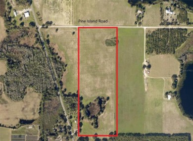 Lake Acreage For Sale in Clermont, Florida