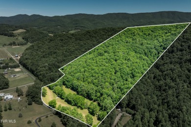 Watauga Lake Acreage For Sale in Mountain City Tennessee