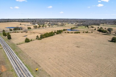 Discover your slice of Texas paradise! Imagine crafting your - photo 14