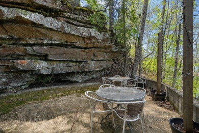 Smith Lake (Brushy) Nestled under a bluff &  in the woods sets - photo 22