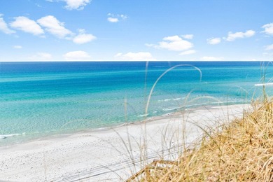 Positioned in the heart of Inlet Beach with the rare advantage - photo 5