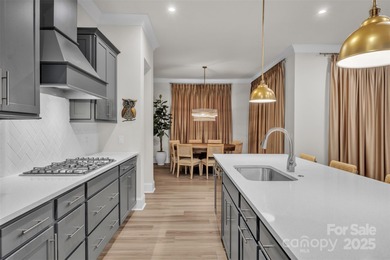 Lake Wylie Home For Sale in Belmont North Carolina