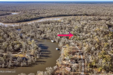 Goggle Eye Lake  Lot Sale Pending in Lucedale Mississippi