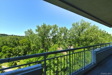 Beautiful & Spacious Sunny 3-Bedroom, 2.5-Bath Condo in Harbor - photo 32