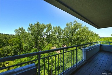 Beautiful & Spacious Sunny 3-Bedroom, 2.5-Bath Condo in Harbor - photo 33