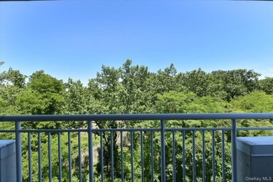 Beautiful & Spacious Sunny 3-Bedroom, 2.5-Bath Condo in Harbor - photo 37