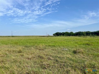 (private lake, pond, creek) Acreage For Sale in Ganado Texas