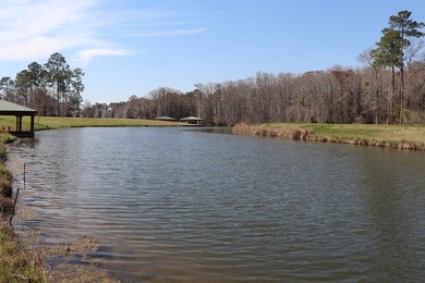 Lot # 18 with a double boathouse/ 2600 Sq. Ft. Heated Required - photo 17