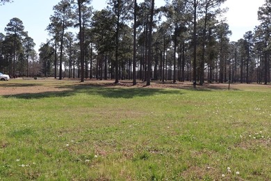 Lot # 18 with a double boathouse/ 2600 Sq. Ft. Heated Required - photo 20