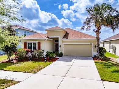 Lake Home Sale Pending in Lithia, Florida