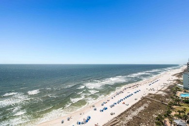 HUGE PRICE REDUCTION! Penthouse Paradise with Unmatched Views! - photo 1