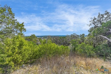 Lake Acreage For Sale in Wimberley, Texas