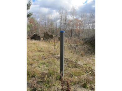 This cleared parcel of land has driveway, well and according to - photo 4