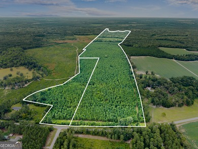 (private lake, pond, coastal) Acreage For Sale in Statesboro Georgia