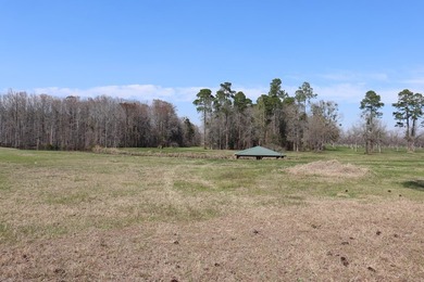 Lot # 17/2600 Sq. Ft. Required Lot #17 Also features a double - photo 17