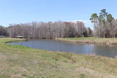 Lot # 17/2600 Sq. Ft. Required Lot #17 Also features a double - photo 20