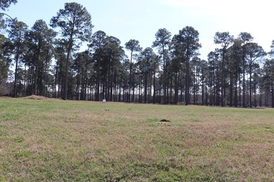 Lot # 17/2600 Sq. Ft. Required Lot #17 Also features a double - photo 21