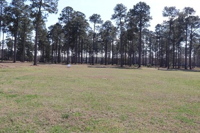 Lot # 17/2600 Sq. Ft. Required Lot #17 Also features a double - photo 22