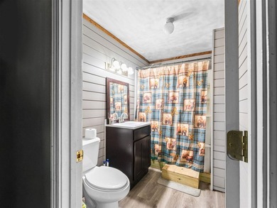 If you're looking for your own Little Gatlinburg, here it is! - photo 27