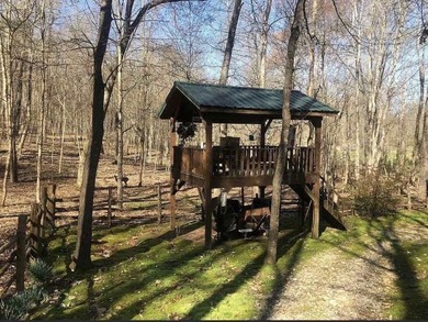 If you're looking for your own Little Gatlinburg, here it is! - photo 40