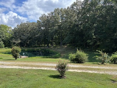 If you're looking for your own Little Gatlinburg, here it is! - photo 43