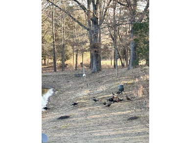 If you're looking for your own Little Gatlinburg, here it is! - photo 45