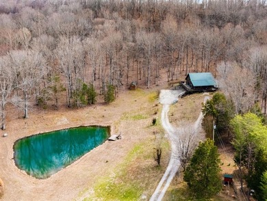 If you're looking for your own Little Gatlinburg, here it is! - photo 46