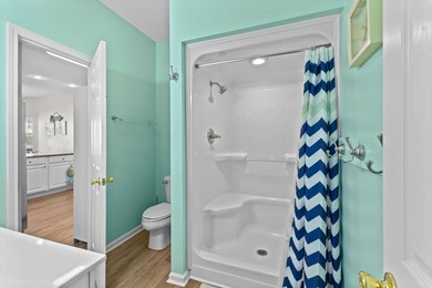 LOCATION, LOCATION, LOCATION! Waterfront Raised Beach House in - photo 25