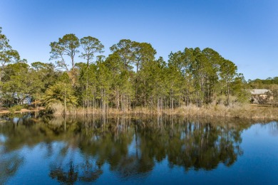 Lake Lot For Sale in Panacea, Florida