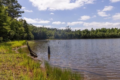 Turnkey 257.8 acre recreational tract in Tippah County - photo 4