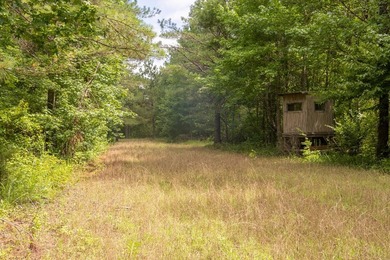 Turnkey 257.8 acre recreational tract in Tippah County - photo 5