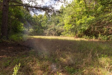 Turnkey 257.8 acre recreational tract in Tippah County - photo 8