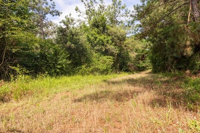 Turnkey 257.8 acre recreational tract in Tippah County - photo 9