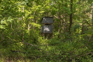 Turnkey 257.8 acre recreational tract in Tippah County - photo 10