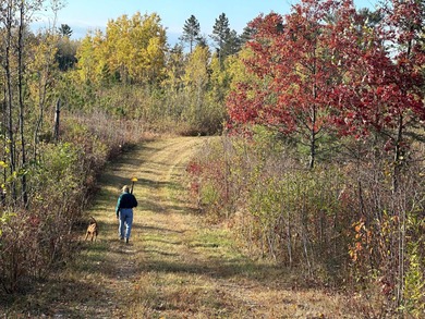 104.95-acres with approximately 3,000-ft of beautiful high - photo 12