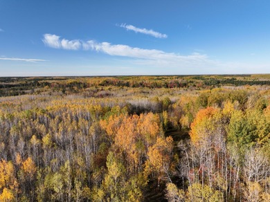 104.95-acres with approximately 3,000-ft of beautiful high - photo 13