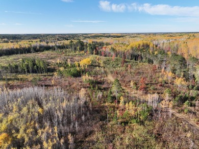 104.95-acres with approximately 3,000-ft of beautiful high - photo 14