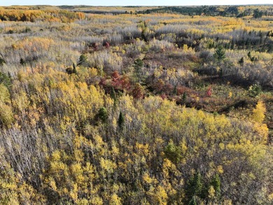 104.95-acres with approximately 3,000-ft of beautiful high - photo 17