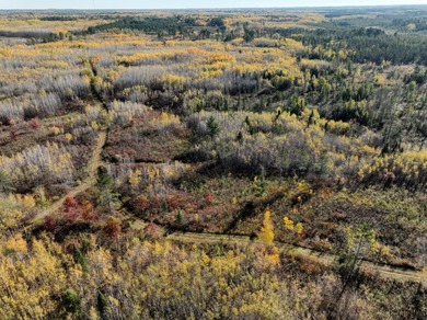 104.95-acres with approximately 3,000-ft of beautiful high - photo 18